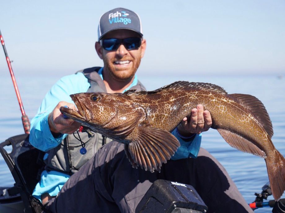 The most popular recent Lingcod catch on Fishbrain