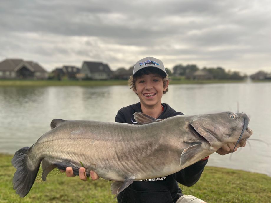 The most popular recent Channel catfish catch on Fishbrain