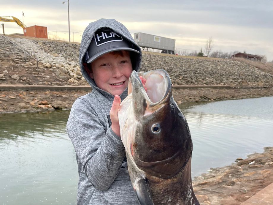The most popular recent Bighead carp catch on Fishbrain