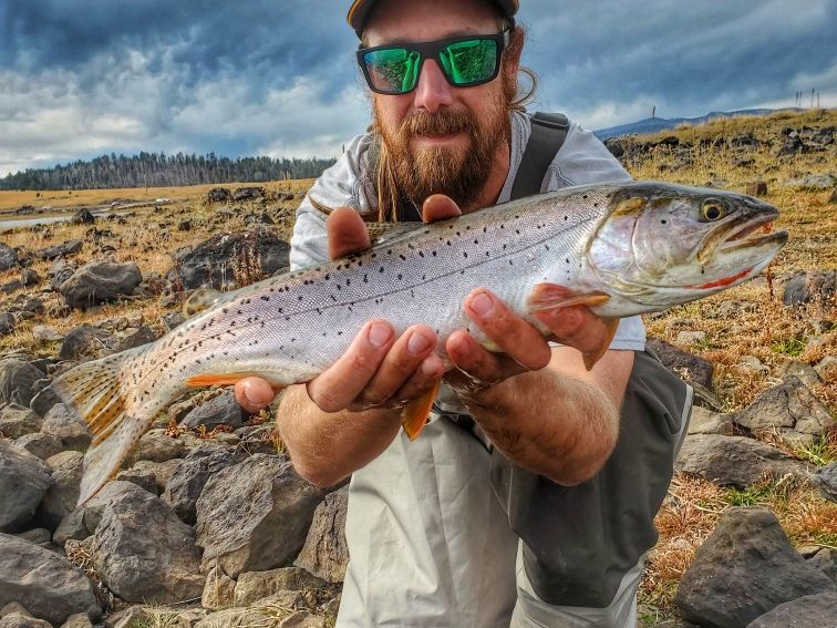 bonneville cutthroat trout