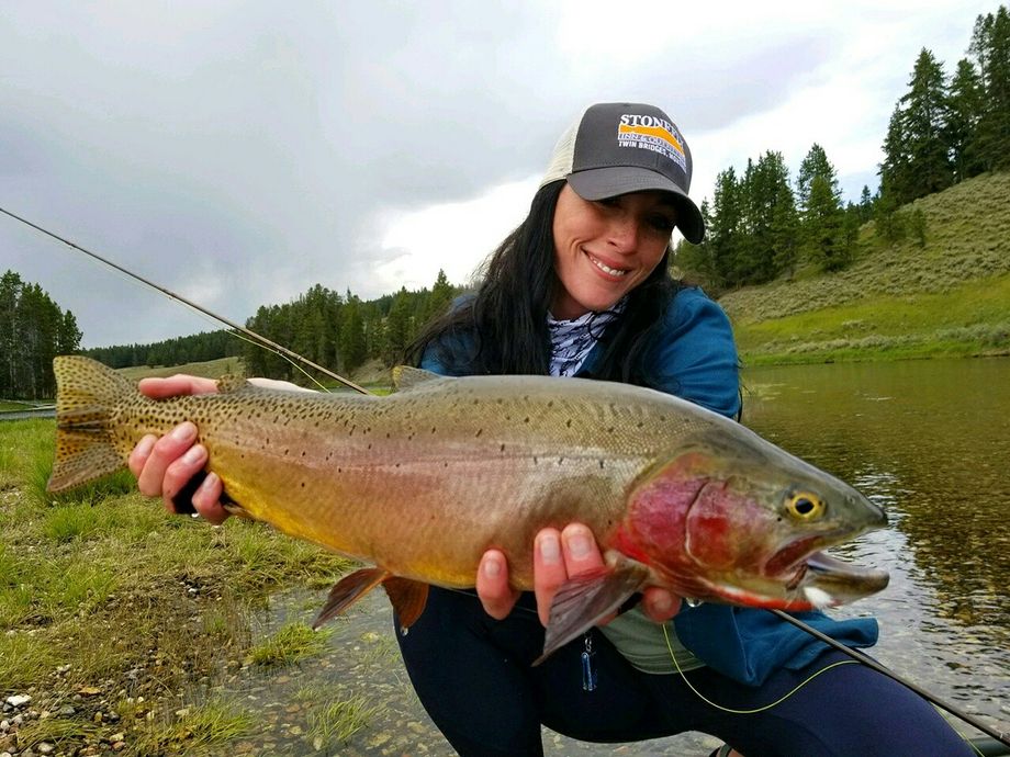 The most popular recent Cutthroat trout catch on Fishbrain
