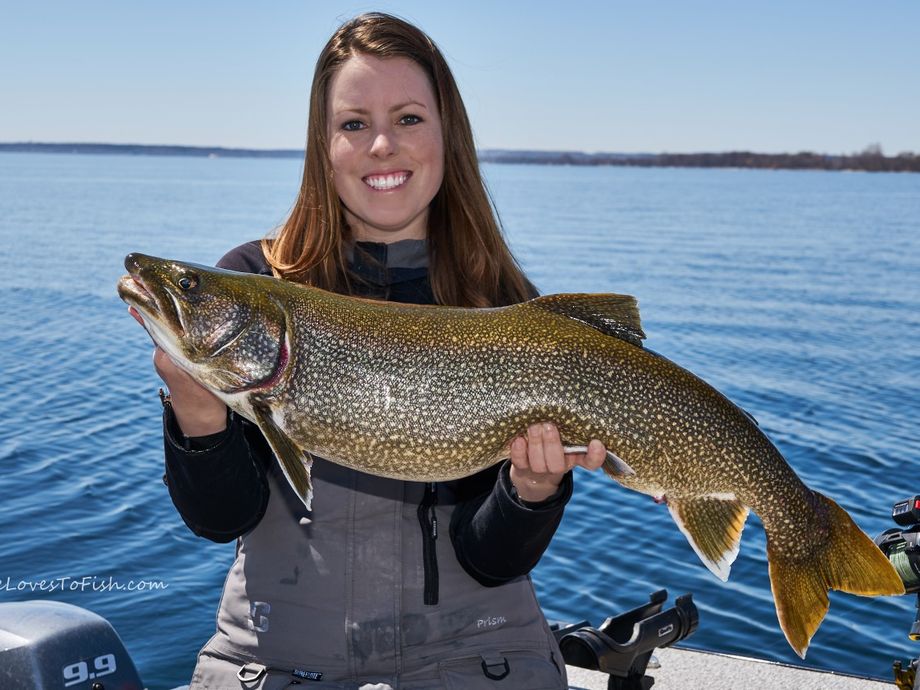 The most popular recent Lake trout catch on Fishbrain