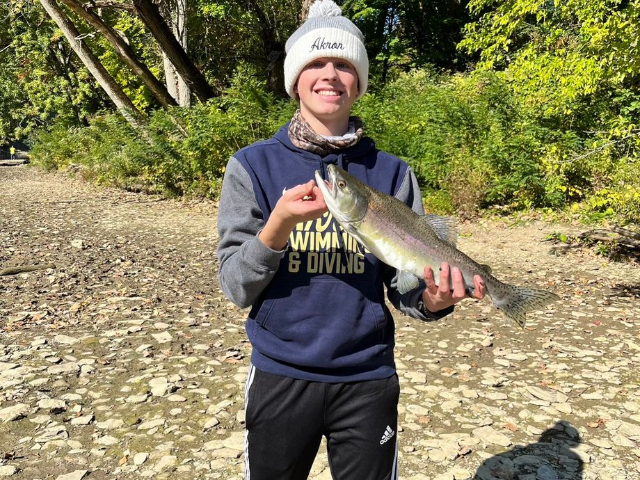 The most popular recent Pink salmon catch on Fishbrain
