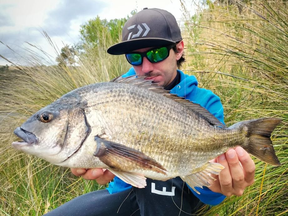 The most popular recent Southern black bream catch on Fishbrain