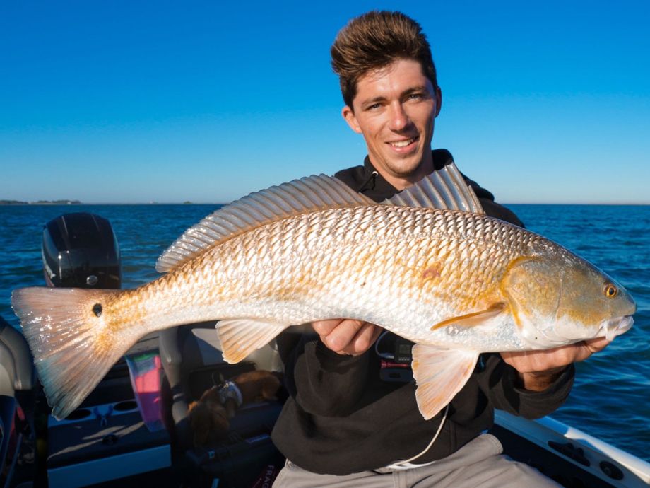 The most popular recent Red drum catch on Fishbrain