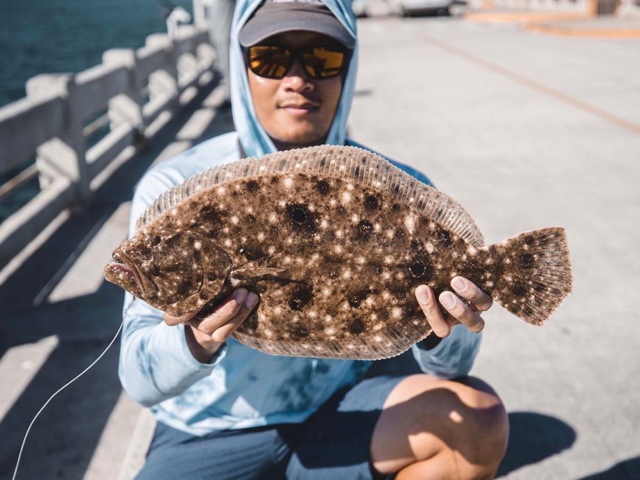 The most popular recent Summer flounder catch on Fishbrain