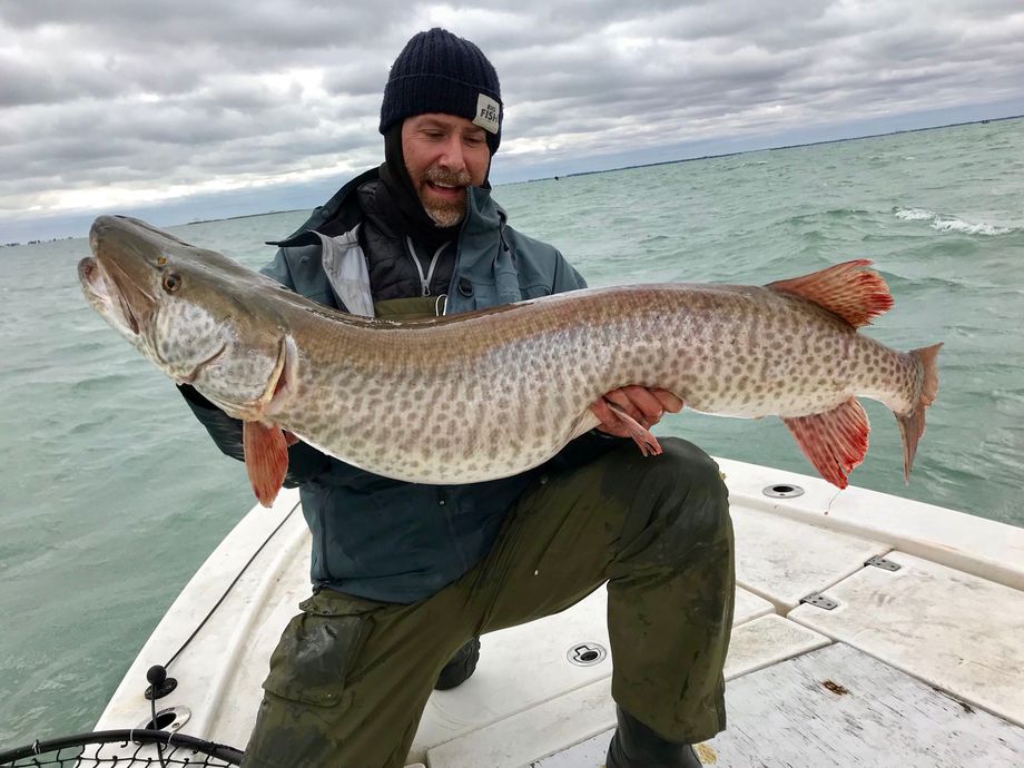 The most popular recent Muskellunge catch on Fishbrain