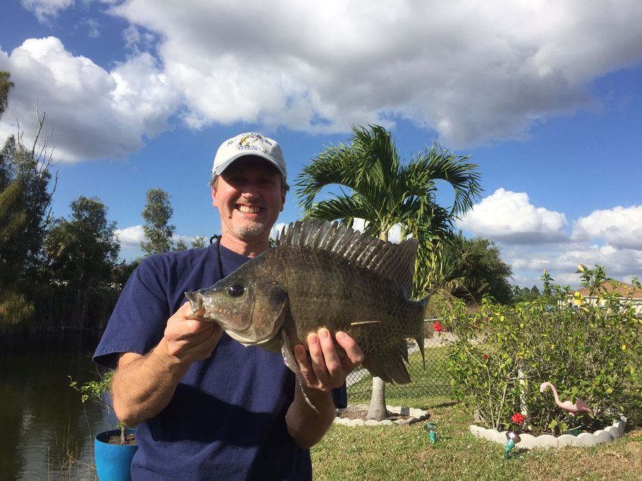 The most popular recent Nile tilapia catch on Fishbrain