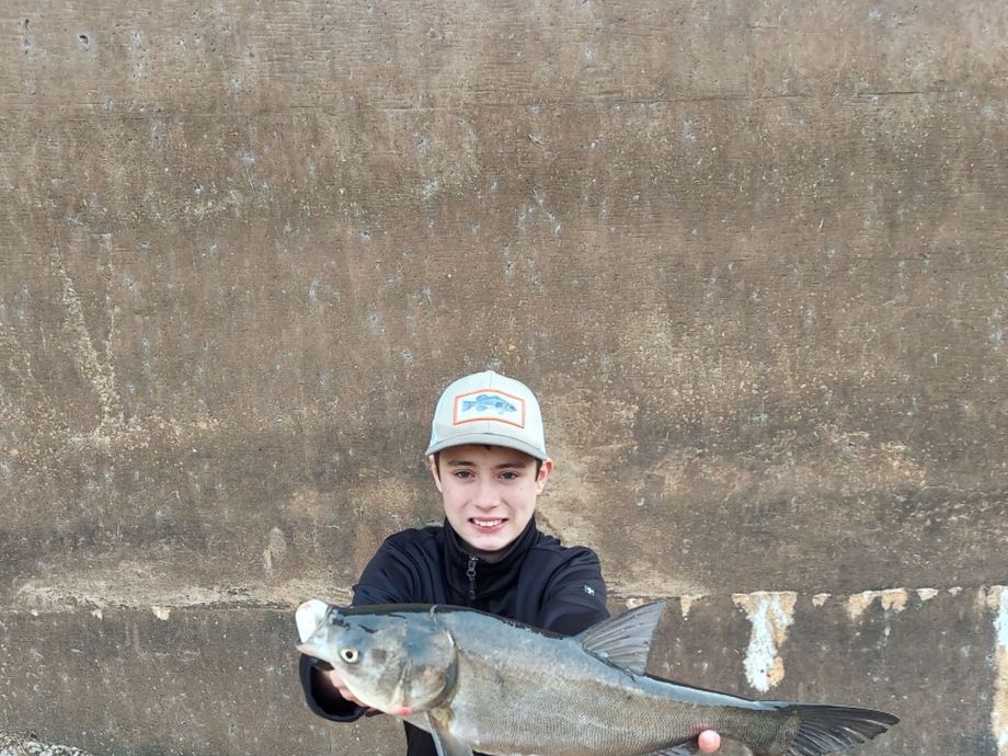 The most popular recent Silver carp catch on Fishbrain