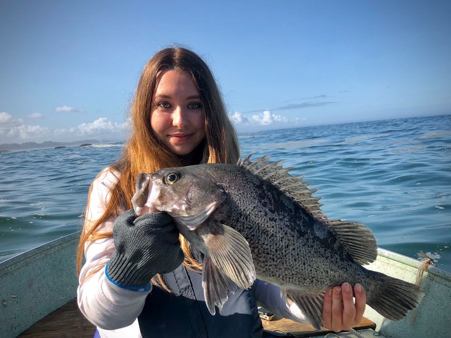 The most popular recent Black rockfish catch on Fishbrain