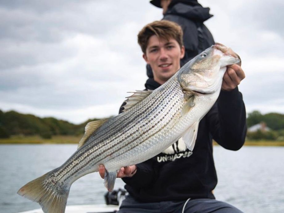 The most popular recent Striped bass catch on Fishbrain